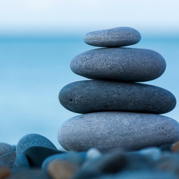 Meet your Posher, Sonja - Picture 1 of 1